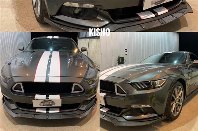 30ml 811 Silica Vehicle Coating