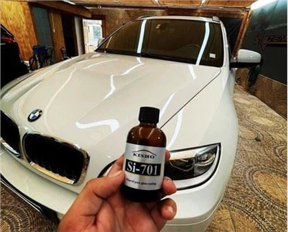 طلاء السيراميك السائد